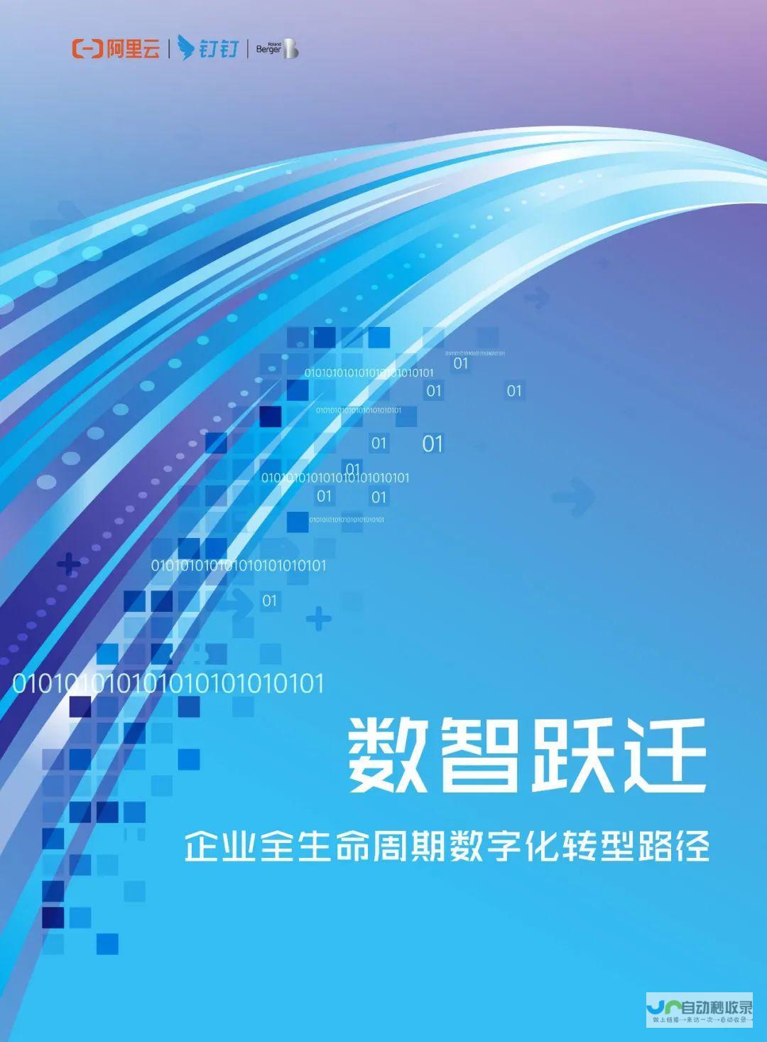 网站公司